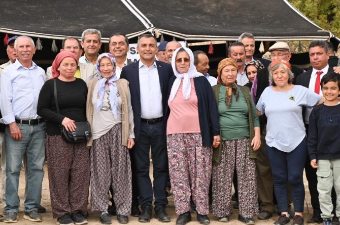 MANAVGAT’TA ZEYTİN ÇEŞİTLİLİĞİ: HEM SOFRALIK HEM YAĞLIK